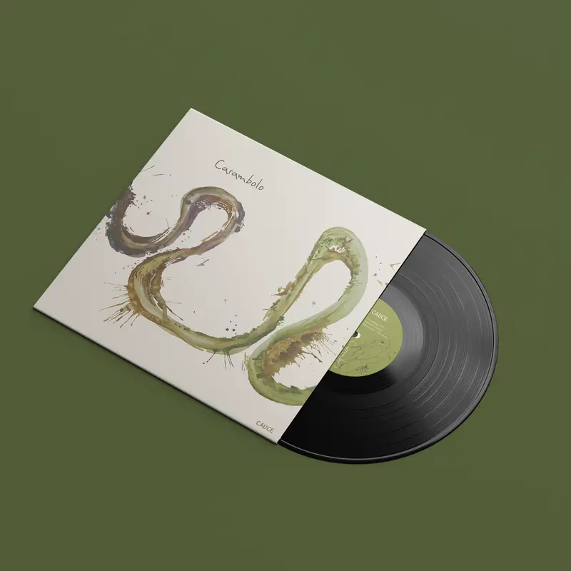 Vinyl mockup with a watercolor river silhouette cover art